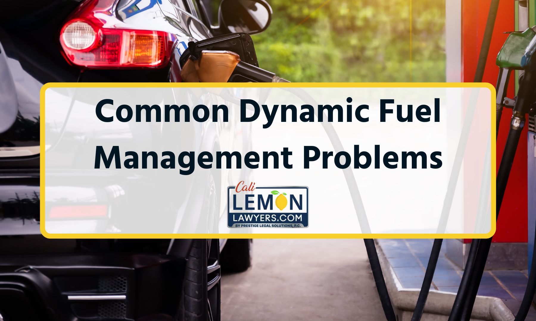 Common Dynamic Fuel Management Problems