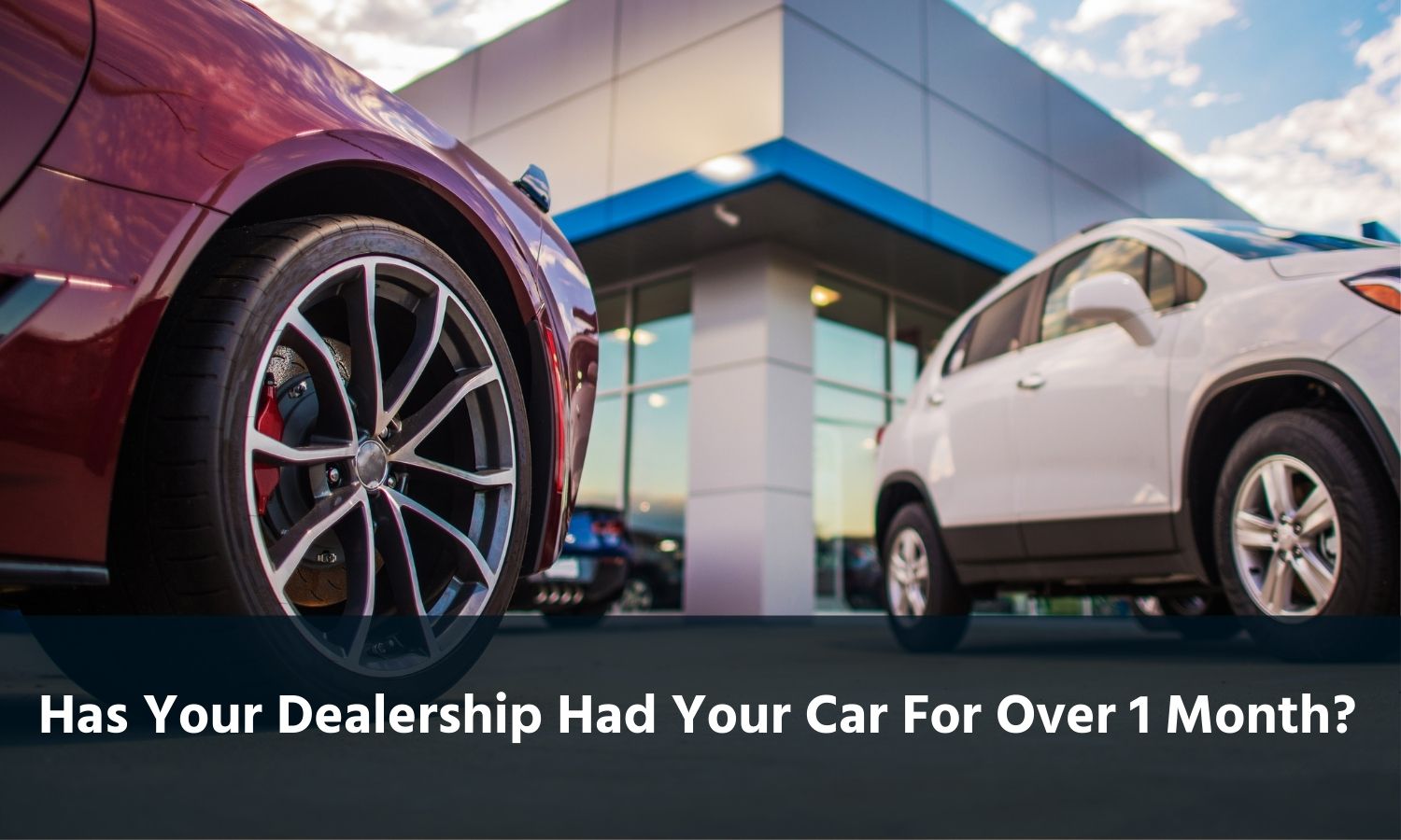 Dealership Has Had My Car for a Month, Now What? | Cali Lemon ...